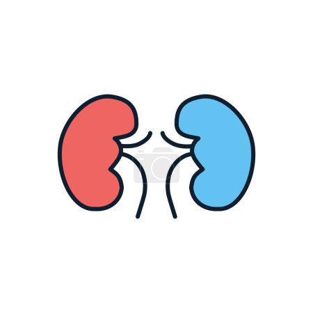 Illustration for Kidney Vector Icon. Isolated on the White Background. Editable EPS file. Vector illustration - Royalty Free Image