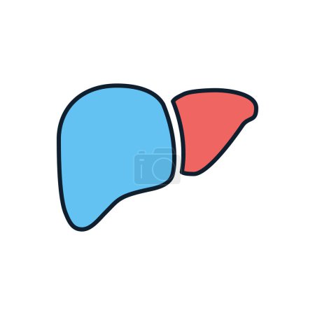 Illustration for Liver Vector Icon. Isolated on the White Background. Editable EPS file. Vector illustration - Royalty Free Image