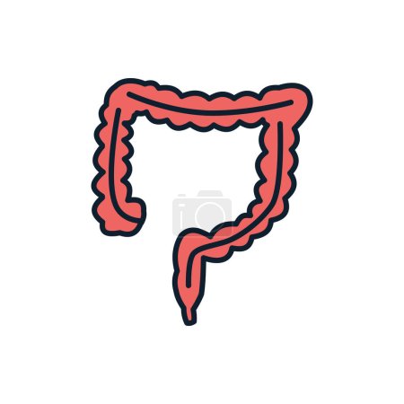 Photo for Intestines Related Vector Line Icon. Isolated on White Background. Editable Stroke - Royalty Free Image