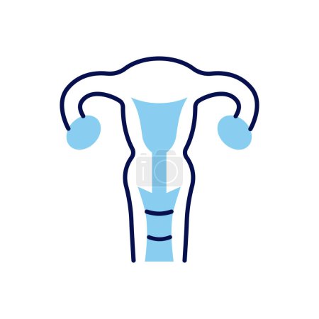 Téléchargez les illustrations : Icône de ligne vectorielle liée à l'utérus. Isolé sur fond blanc. AVC modifiable - en licence libre de droit