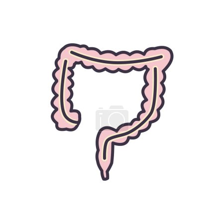 Illustration for Intestines Related Vector Line Icon. Isolated on White Background. Editable Stroke - Royalty Free Image