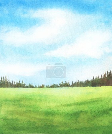 Téléchargez les photos : Fond d'aquarelle abstrait avec champ vert herbe et ciel bleu avec nuages, épinettes illustration dessinée à la main - en image libre de droit