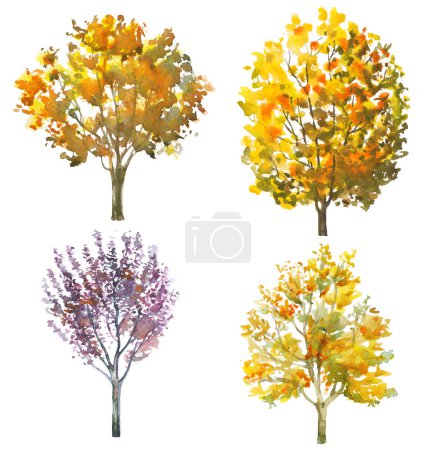 Téléchargez les photos : Ensemble d'arbres aquarelles isolés sur blanc pour l'automne, conception d'automne - en image libre de droit
