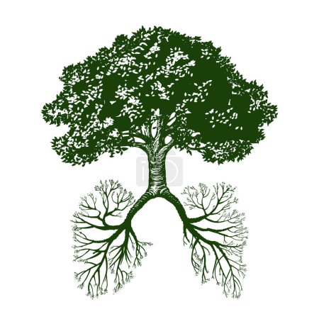 Ilustración de Roble con tronco y raíces como pulmones humanos, símbolo de conservación del medio ambiente, ilustración vectorial - Imagen libre de derechos