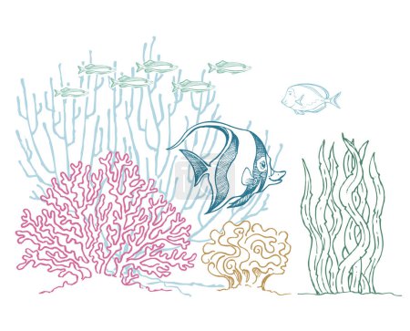 Ilustración de Ilustración de fauna submarina con peces, corales, plantas, ídolo morisco, océano, ilustración vectorial de arte marino - Imagen libre de derechos