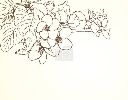 Illustration for Spring tree flowers line art drawing background with space for text. vector illustration - Royalty Free Image