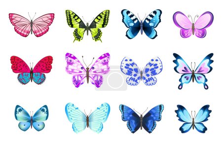 Ilustración de Colección de mariposas de colores. Conjunto de mariposas en estilo de dibujos animados sobre fondo blanco. Vector - Imagen libre de derechos