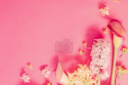 Téléchargez les photos : Fleurs de printemps sur fond de papier rose - en image libre de droit
