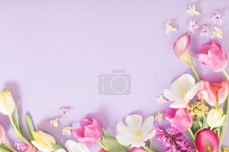 Téléchargez les photos : Fleurs de printemps multicolores sur fond violet - en image libre de droit