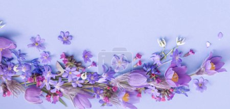 schöne Frühlingsblumen auf blauem Hintergrund