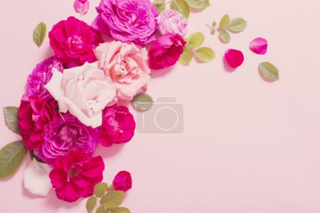 Photo for Beautiful roses on pink paper background - Royalty Free Image