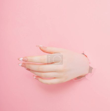 Photo for Female hands with beautiful long nails with  manicure  on pink paper  background - Royalty Free Image