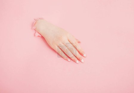 Foto de Manos femeninas con hermosas uñas largas con manicura sobre fondo de papel rosa - Imagen libre de derechos