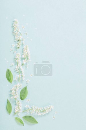 Foto de Flores blancas de primavera sobre fondo de papel - Imagen libre de derechos