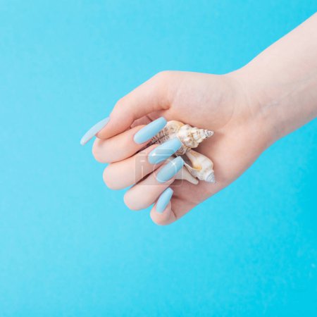 Téléchargez les photos : Main féminine avec manucure et coquille de mer sur fond bleu - en image libre de droit