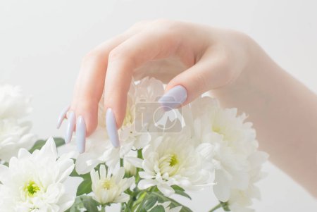 Photo for Female hands with beautiful manicure and chrysanthemum flowers - Royalty Free Image