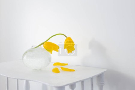 Téléchargez les photos : Tulipes jaunes dans un vase en verre dans une pièce blanche - en image libre de droit