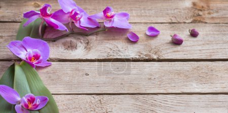 Téléchargez les photos : Orchidées sur vieux fond en bois - en image libre de droit