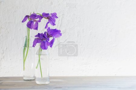 Photo for Iris in vase on background white old wall - Royalty Free Image