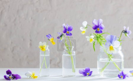 Foto de Viola flores en frascos de vidrio sobre fondo blanco - Imagen libre de derechos