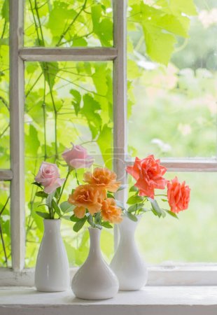 Foto de Hermosas rosas en jarrones en el viejo alféizar de la ventana de madera - Imagen libre de derechos