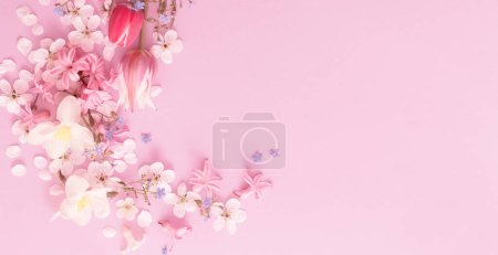 Photo for Beautiful spring flowers on paper background - Royalty Free Image
