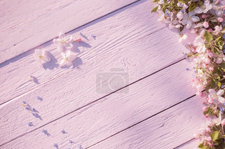 Foto de Flores de primavera sobre fondo de madera rosa - Imagen libre de derechos