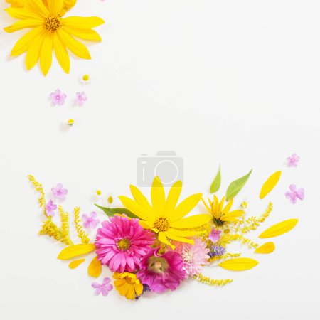 Téléchargez les photos : Fleurs jaunes et roses sur fond blanc - en image libre de droit