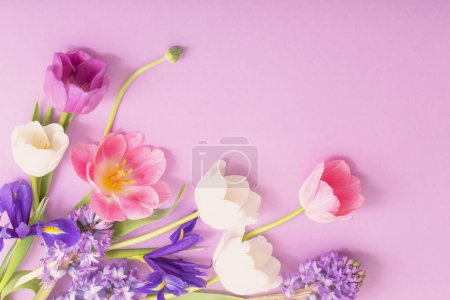 Foto de Hermosas flores sobre fondo de papel - Imagen libre de derechos