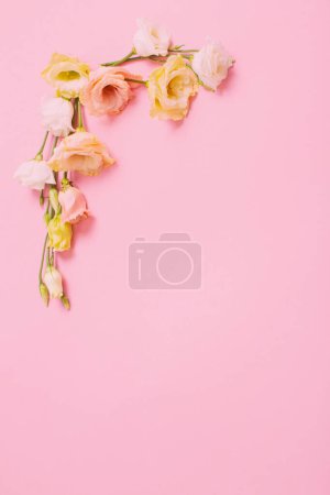 Photo for Spring beautiful flowers on pink background - Royalty Free Image
