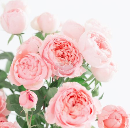 Foto de Ramo de flores hermosas rosas sobre fondo blanco - Imagen libre de derechos