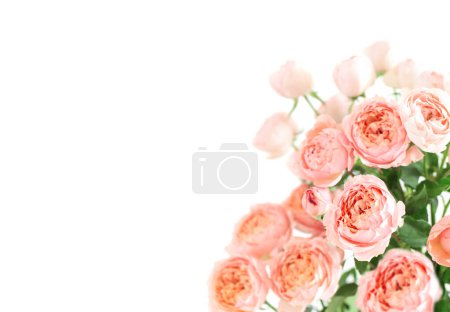 Téléchargez les photos : Beau bouquet de fleurs de roses isolé sur fond blanc - en image libre de droit