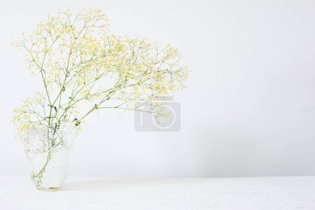 Photo for Yellow gypsophila in glass vase in white room - Royalty Free Image