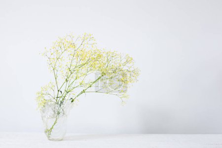Yellow gypsophila in glass vase in white room