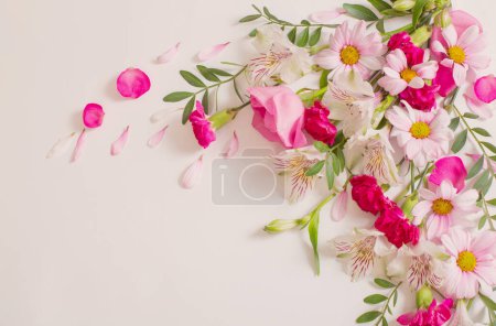 Téléchargez les photos : Belles fleurs roses et blanches sur fond blanc - en image libre de droit