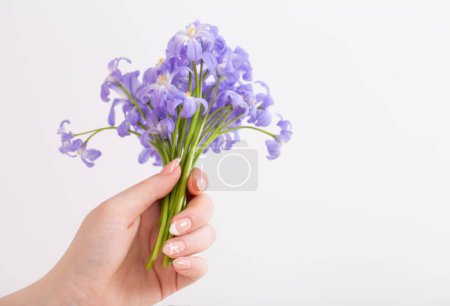 Photo for Blue spring flowers in womans hand white background - Royalty Free Image