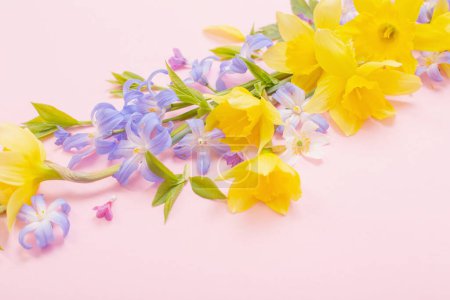 Téléchargez les photos : Fleurs de printemps sur fond rose papper - en image libre de droit