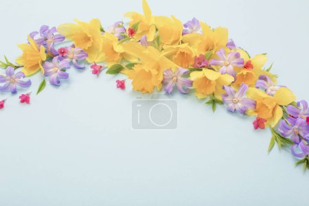 Téléchargez les photos : Fleurs de printemps sur fond de pappeur bleu - en image libre de droit