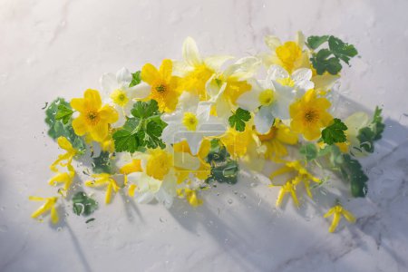 Foto de Flores amarillas de primavera con gotas de lluvia sobre fondo de mármol blanco - Imagen libre de derechos