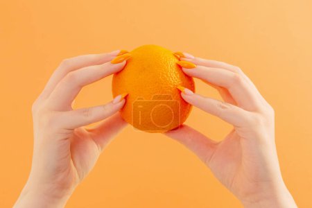 Photo for Female hand with orange on orange background - Royalty Free Image