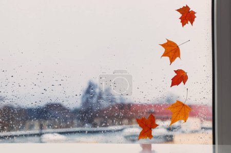 Téléchargez les photos : Feuilles d'automne sur vitre pluvieuse - en image libre de droit