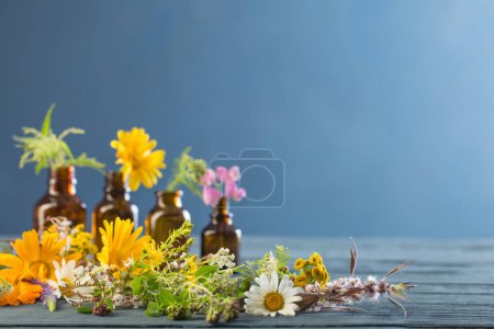 Foto de Plantas medicinales y frascos marrones sobre fondo azul - Imagen libre de derechos