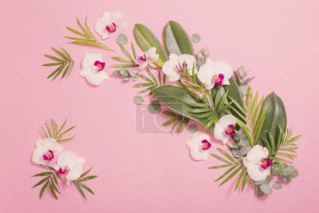Photo for Orchid flowers and green leaves on pink paper background - Royalty Free Image