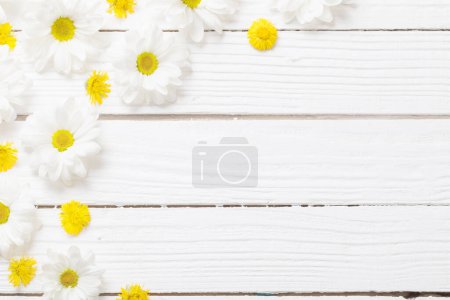 Photo for White chrysanthemum and yellow coltsfoot on white wooden background - Royalty Free Image