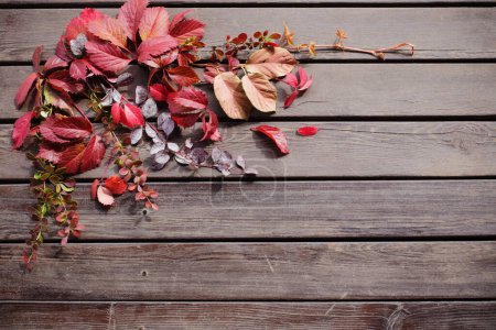 Téléchargez les photos : Feuilles d'automne rouge sur vieux fond en bois - en image libre de droit