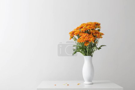 Téléchargez les photos : Chrysanthèmes orange en vase blanc sur fond blanc - en image libre de droit