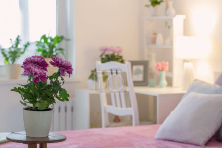 Téléchargez les photos : Intérieur de la chambre avec des fleurs de chrysanthème - en image libre de droit