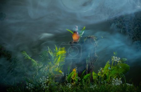 Foto de Botella de pociones mágicas en el bosque mágico - Imagen libre de derechos
