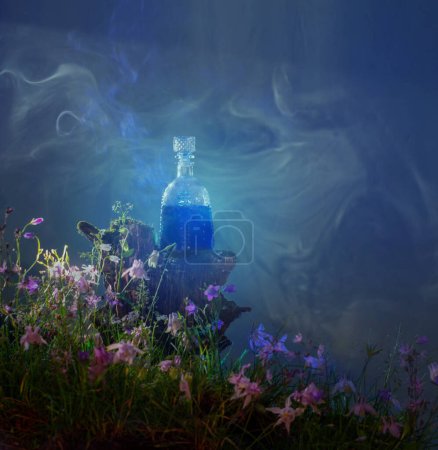 Téléchargez les photos : Bouteille de potions magiques dans la forêt magique - en image libre de droit