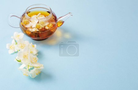 Photo for Jasmine tea in glass teapot on blue background - Royalty Free Image